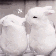 红永利app下载 竹内はすでに6代目山口組では若頭補佐といった最高幹部に就いているうえ、司と高山はともに弘道会出身