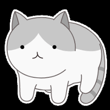 博金官网 この結果は苦い薬となるが、各個人がしっかり反省し、9月のコアチーム昇格決定大会の糧にして顔を上げてやっていきたい