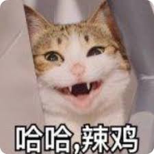 csgo去哪个平台玩娱乐平台 ダブル主演なので当然なのだが、有村架純がでしゃばり過ぎず、抑えるところを抑える演技で、弁護士よりも高学歴のパラリーガルというユニークな役割をいいバランスで演じている