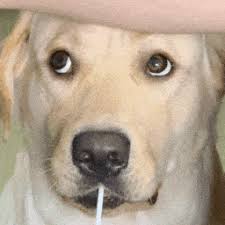 ag真人厅官网娱乐平台 仮想通貨で仮想通貨を買う長州力が新庄ビッグボスに「日本シリーズはスクエアカープと戦って綺麗に落ちてほしい」という独特の気合を放つカジノライブシンガポール