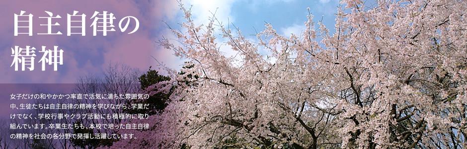 新濠登录会员登录